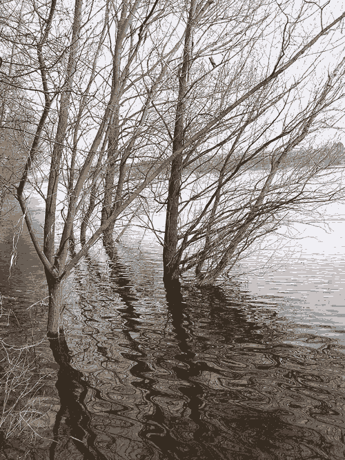 Picture of flooding